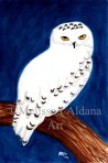 Snowy Owl original watercolor